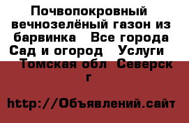 Почвопокровный, вечнозелёный газон из барвинка - Все города Сад и огород » Услуги   . Томская обл.,Северск г.